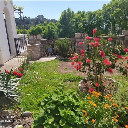 Apartmani Jovanovic Petrovac Extérieur photo