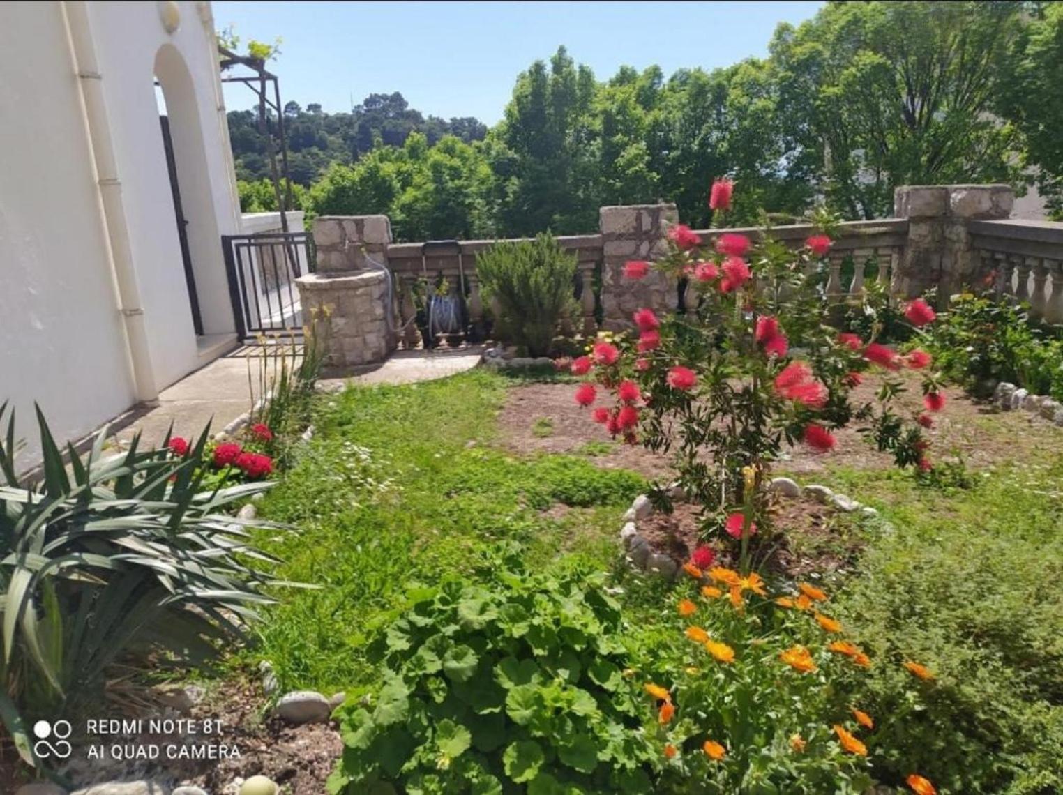 Apartmani Jovanovic Petrovac Extérieur photo