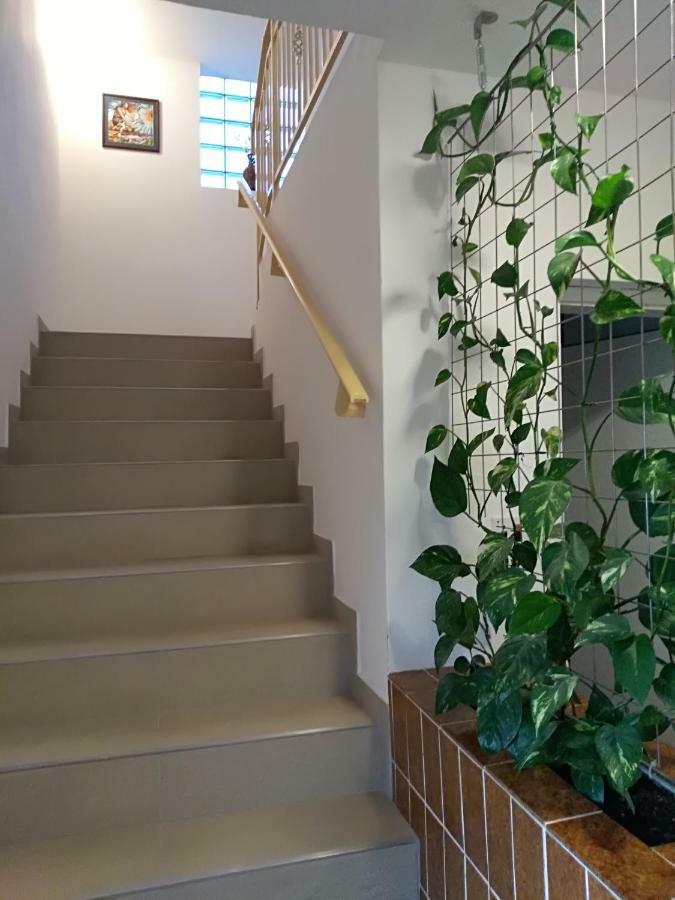 Apartmani Jovanovic Petrovac Extérieur photo
