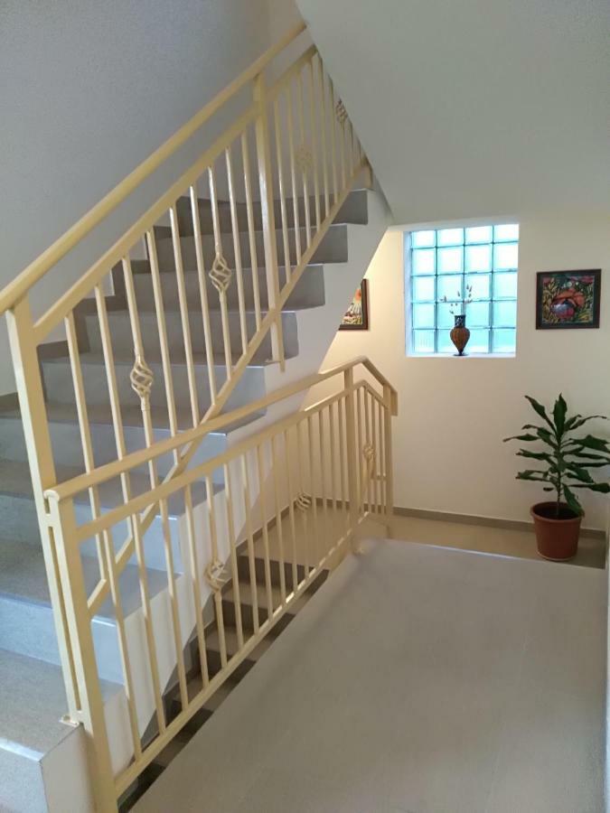 Apartmani Jovanovic Petrovac Extérieur photo