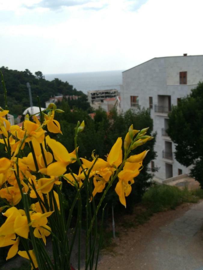 Apartmani Jovanovic Petrovac Extérieur photo